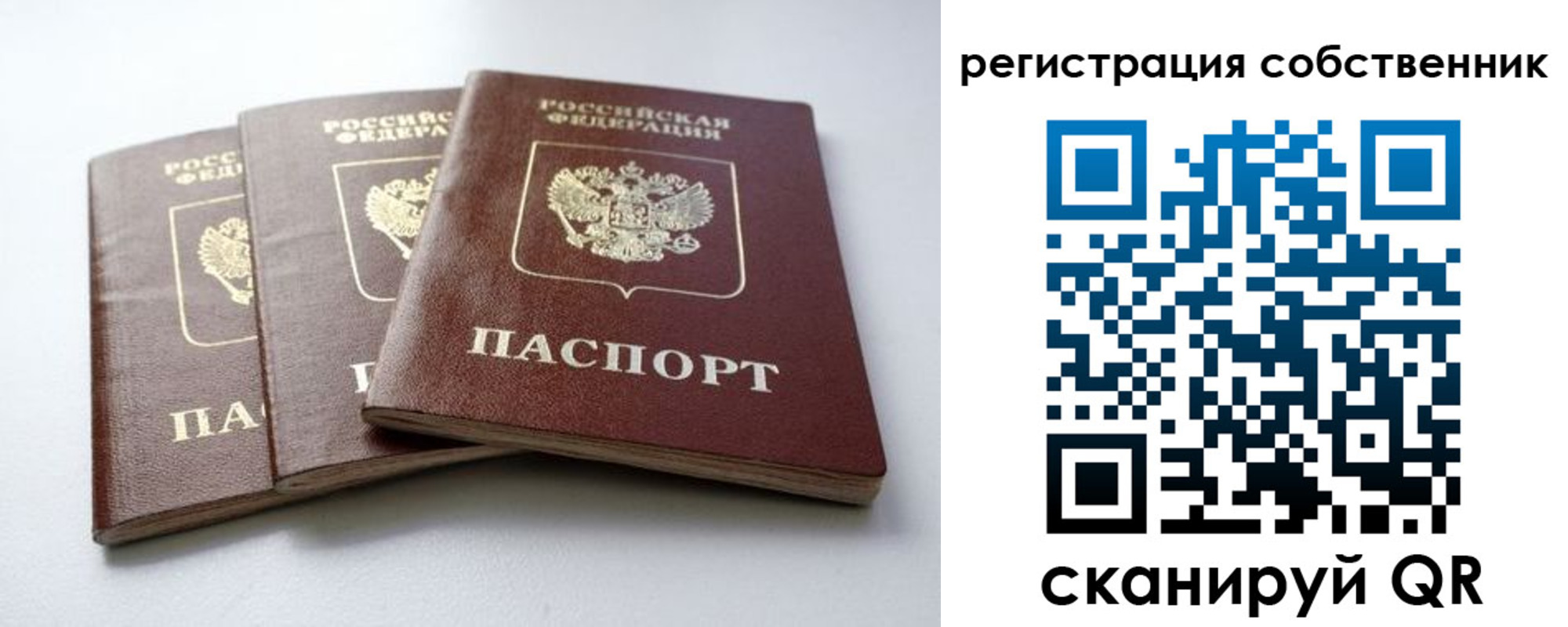 прописка для школы в Онеге
